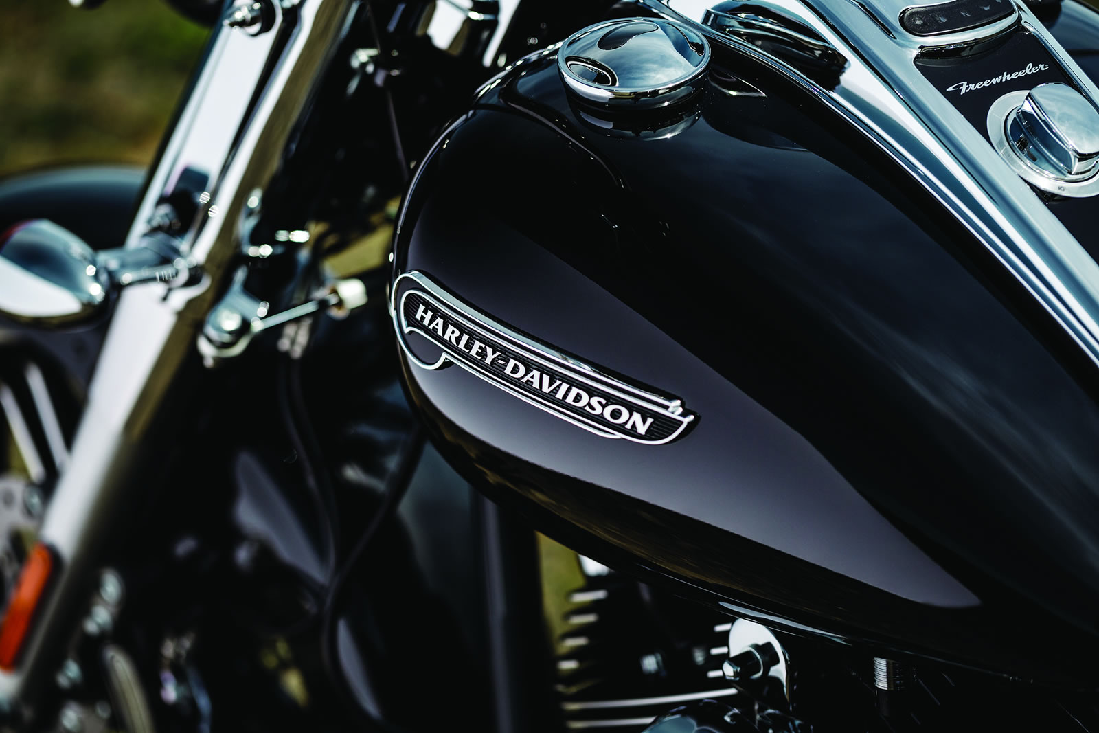 GRM 7.2 Bike Feature Freewheeler Pic_9